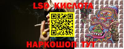 соль ск Сланцы