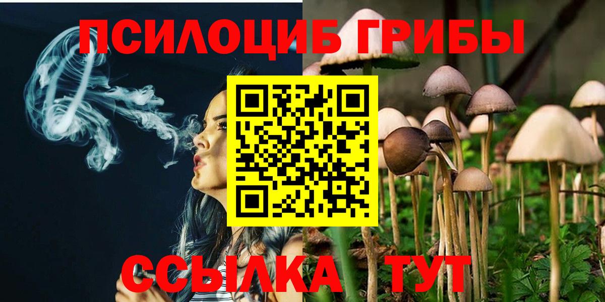 Псилоцибиновые грибы Magic Shrooms Павлово